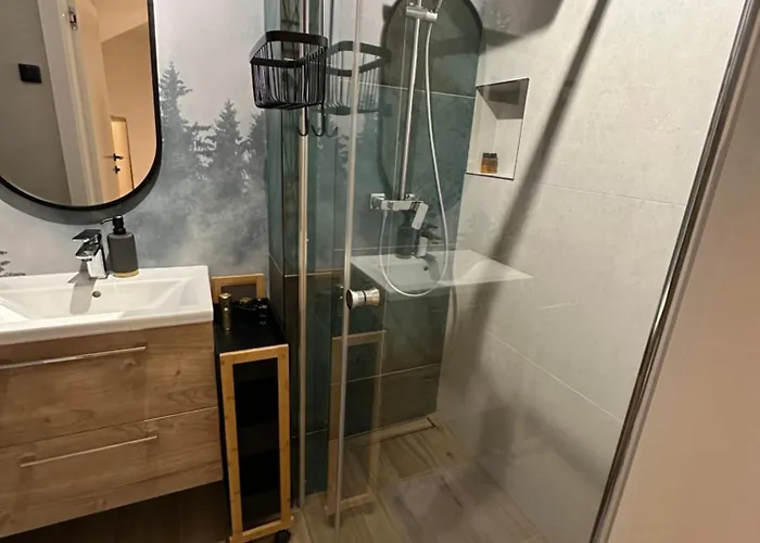 דירה Narciarska6a שצ'צ'ירק